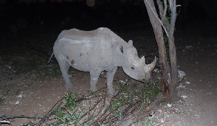 P3260194 (640x360) (640x360)