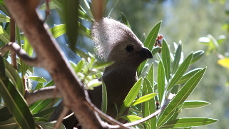 P3270213 (640x360) (640x360)