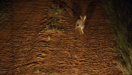 P3270241 - Kopie (640x360) (640x360)