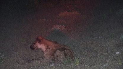 P4080761 - Kopie (640x360)