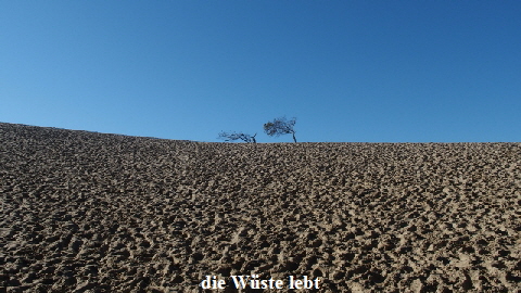 PB210505 - Kopie (640x360)