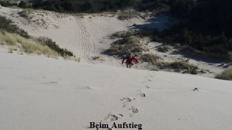 PB210510 - Kopie (640x360)