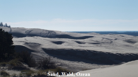 PB210513 - Kopie (640x360)