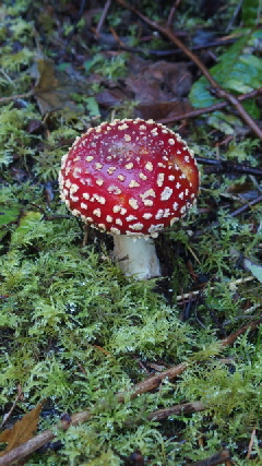 PB210528 - Kopie (360x640)