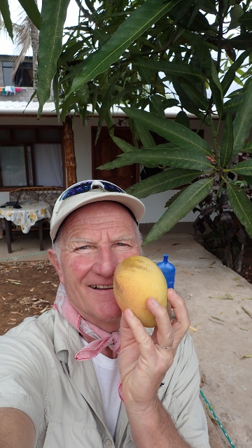 Fast vom Mango erschlagen worden, jetzt ist er ein Fr&uuml;hst&uuml;cksopfer geworden!