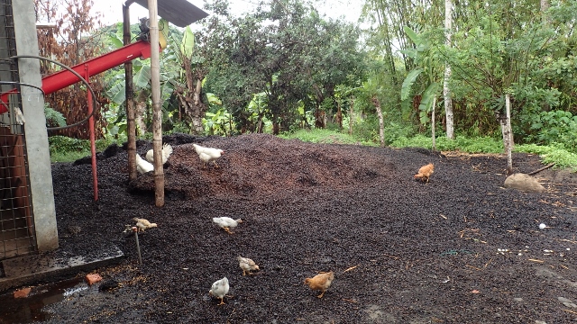 es muss W&uuml;rmer im Kompost haben