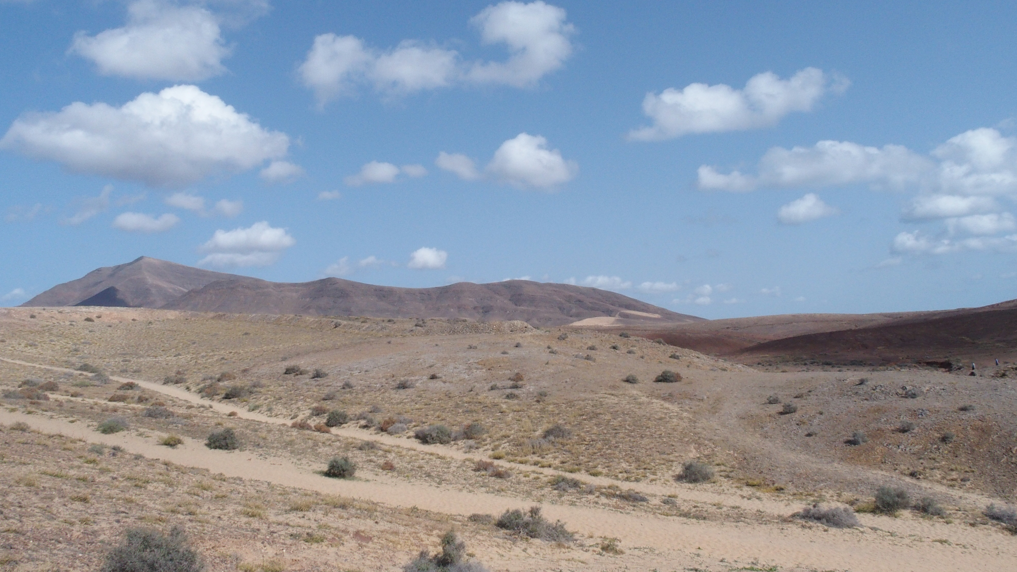so l&auml;uft man die 4.2km durch die W&uuml;ste