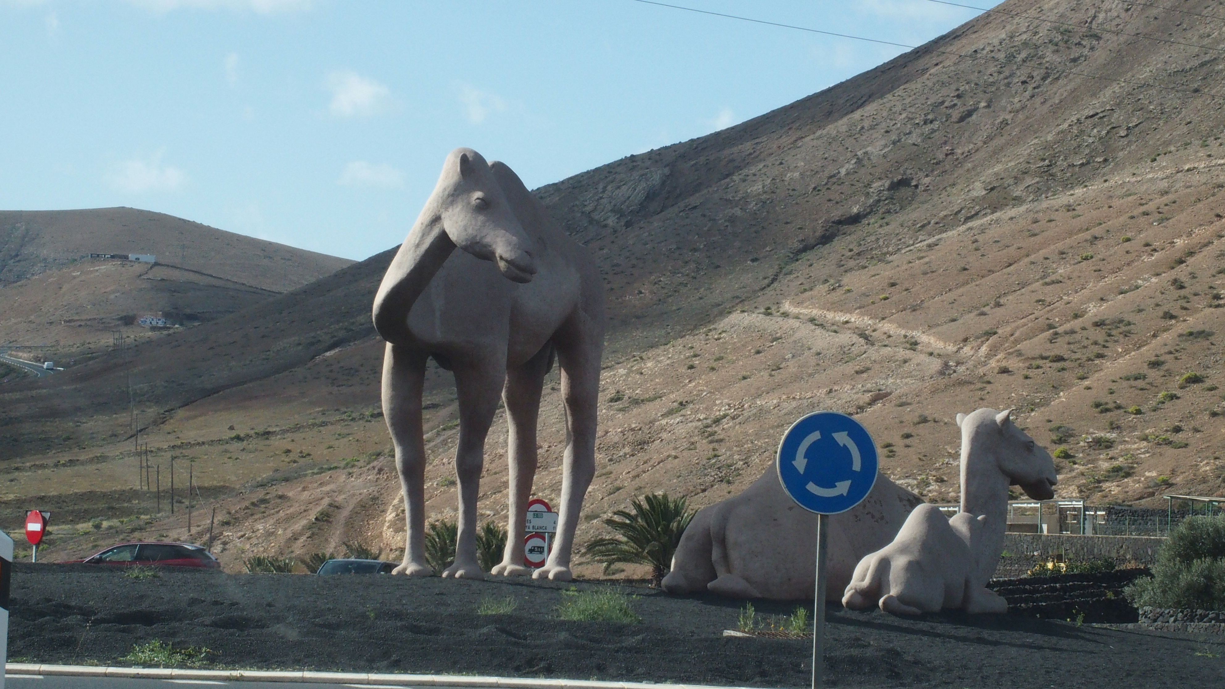 Kreisel auf Canarisch