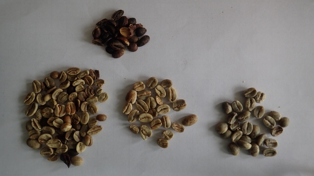 links Natural schwarz,oben ausgelesene Bohnen,unten Mitte Natural ohne G&uuml;sel, rechts sauberer Arabica