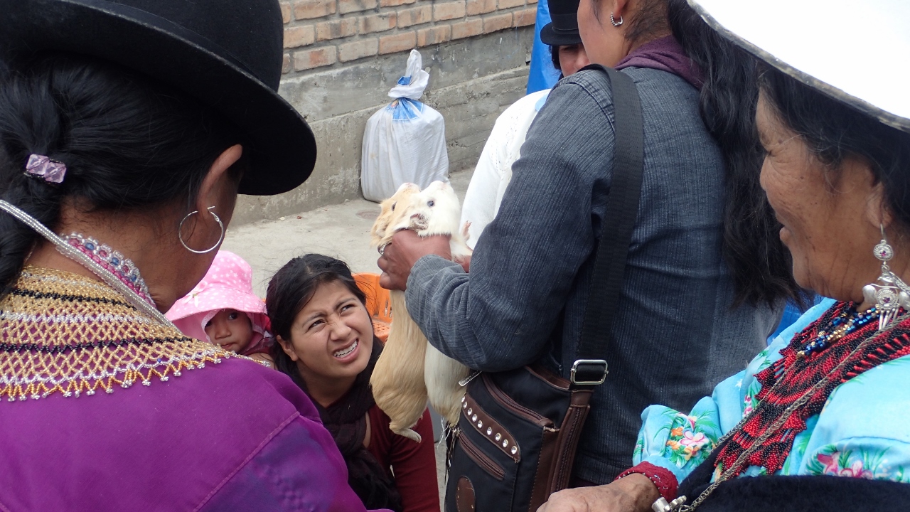 was verkauft sie denn?