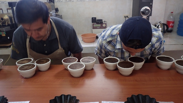 professionelle Degu Arbeit