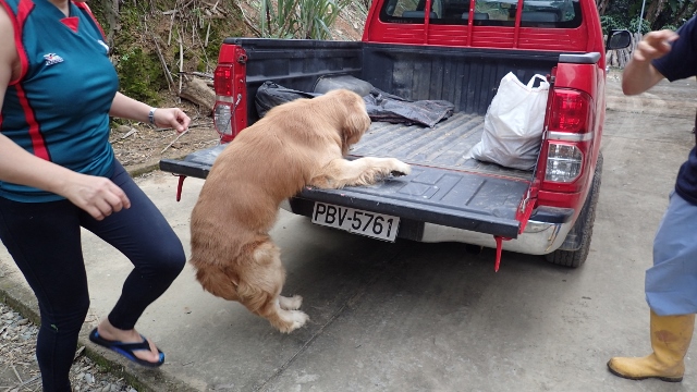 uppps zu wenig Anlauf......