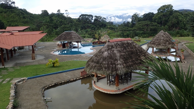die tr&uuml;ben Pools sind f&uuml;r die Nilbarsche (Tilapias)