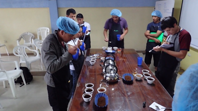 unsere fast professionellen Proben