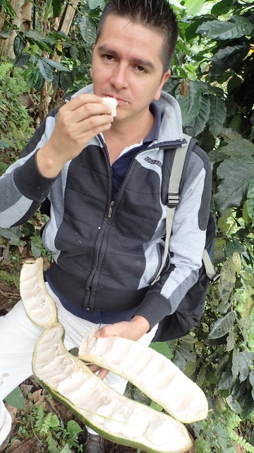 Zwischenverpflegung direkt ab Baum..nur im Bio Landbau m&ouml;glich